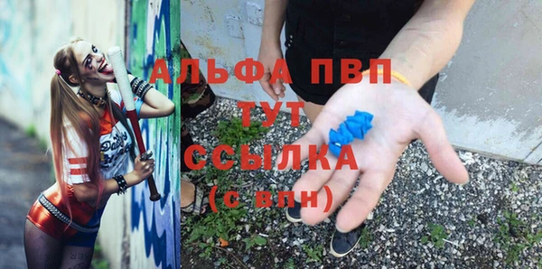 прущие грибы Абдулино