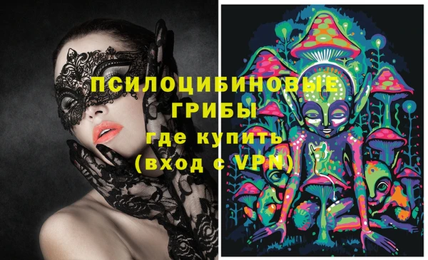 прущие грибы Абдулино