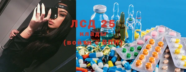 прущие грибы Абдулино