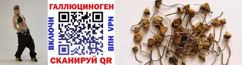 Псилоцибиновые грибы ЛСД  Чулым 
